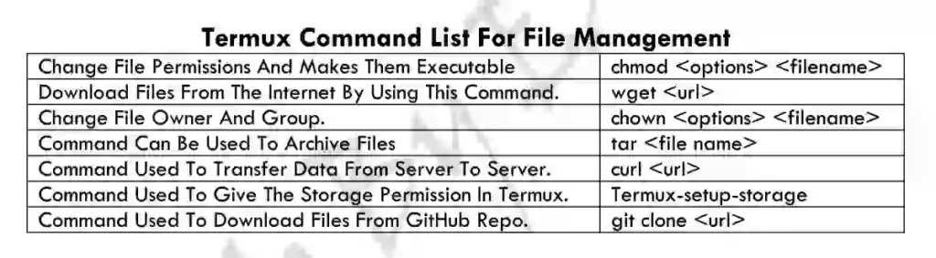 File Management 