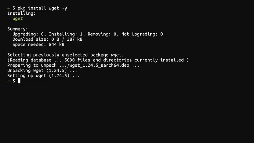 Installing Wget